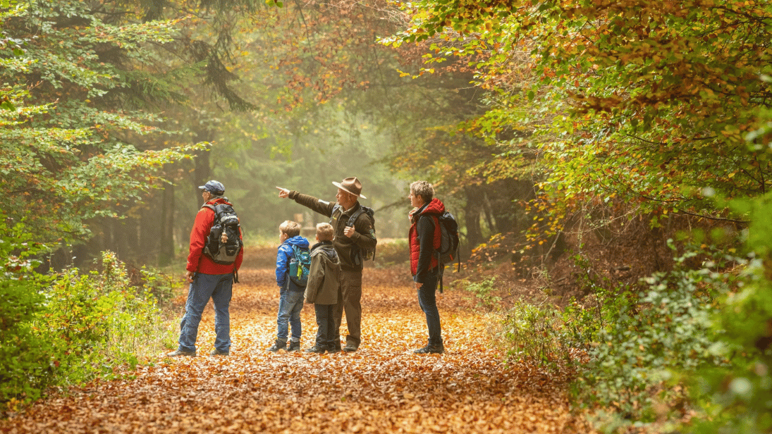 © Nationalparkforstamt Eifel / Foto Dominik Ketz